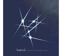 Lunatic Soul – Walking On a Flashlight Beam – Vinilo (Importación USA)