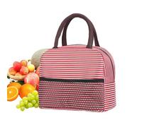 Lunch Bag - Insulated Food Container Carrier, Portable Meal Tote | Mesh Pocket Thermal Storage Organizer Picnic Snack Holder Beverage Fruit Box Travel Solution Students Workers Workplace Classroom Cam