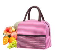 Lunch Bag - Insulated Food Container Carrier, Portable Meal Tote | Mesh Pocket Thermal Storage Organizer Picnic Snack Holder Beverage Fruit Box Travel Solution Students Workers Workplace Classroom Cam