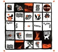 Lung, W.H. - EVERY INCH OF EARTH PULSATES