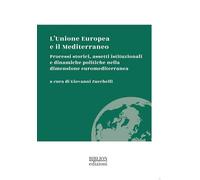 L'Unione Europea e il Mediterraneo. Processi storici, assetti istituzionali e dinamiche politiche nella dimensione euromediterranea (La biblioteca di Instituta)