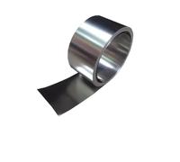 LuoAXINN Tira de Acero Inoxidable, Chapa de Acero, lámina de Acero, Placa de Acero, Espesor 0,1/0,2/0,3/0,4/0,5 mm, Ancho 50 mm, 1 Metro/Lote para Manualidades, Equipo electrónico(0.5x20mmX1meter)