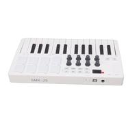 Luocute Controlador de Teclado MIDI de 25 Teclas, Producción Musical Inalámbrica BT Profesional con 8 Pads de Batería Retroiluminados RGB 8 Perillas Teclas de Detección de Fuerza para