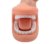 Luocute Marioneta Bucal, Modelo de Dientes de Demostración de Terapia del Habla de Silicona con Lengua para Niños, 28 Dientes para Enseñar el Cepillado y el Desarrollo del Lenguaje
