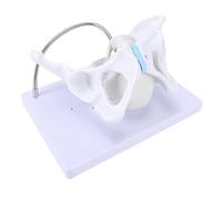 Luocute Modelo de Pelvis Femenina, Herramienta de Demostración de Parto Fetal de Tamaño Natural con Tubo de Metal Flexible y Base Reforzada, para Enseñanza de Obstetricia, Ginecología y