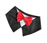 LUOFENG Collar de lona para perro, accesorio elegante para caballero, corbata para mascotas, Halloween, eventos de festivales, uso diario