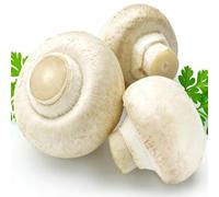 Luojuny Semillas de Hongos, 200 Piezas Semillas de Hongos de botón Blanco Jardín Patio Deliciosa Planta Vegetal Semillas de Hongos Blancos