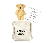 LUOKIFUR Oso de bolsillo, regalo de positividad, regalo conmemorativo para parejas de larga distancia para él/ella (oso)