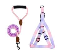 LUOLIE Collar para perro, cable de amarre para perro, arnés de pecho para perro con correa, cinturón de pecho para mascotas, chaleco para pasear perros, arnés colorido para actividades al aire libre