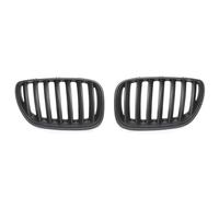 LUOWEINA Parrilla deportiva delantera for capó, Compatible for E53 X5 LCI 2004 2005 2006 Rejilla de parachoques delantera para coche(Matt black)