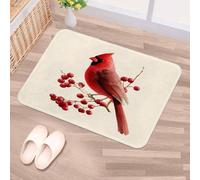 Luoweisi Alfombrillas lavables para interiores, antideslizantes, atrapasuciedades, superabsorbentes (cardenal de Navidad, 40 cm x 60 cm)