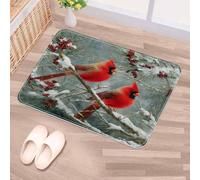 Luoweisi Alfombrillas lavables para interiores, antideslizantes, atrapasuciedades, superabsorbentes (cardenal de Navidad, 40 cm x 60 cm)