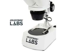 Lupa Binocular Celestron Labs S10-60 con 4 Especímenes Incluidos