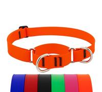 LupinePet Collar impermeable para perro Splash Martingala, naranja neón, 1 pulgada de ancho, se ajusta de 19 a 27 pulgadas, fabricado con BioThane