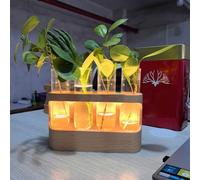 Luqeeg Estación de Propagación de Plantas con Soporte de Madera, 9 Niveles Regulables, 4 Tubos de Ensayo de Vidrio, Jarrones con Luz LED, Terrario de Escritorio para Decoración del