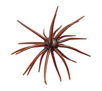 Lures For Bass Fishing Realistic Beginner Friendly Soft Floating