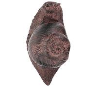 Lurrose 4 Piezas Caja de Llaves de Piedra simulada. Exterior Llave al Aire Libre Pan tecla Oculta ocultación de Llaves de jardín Dispositivos para Ocultar Llaves Resina Negro