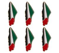 Lurrose 6 Pines Diseño Versátil de Solapa Bandera de Palestina en Aleación de Zinc y Acabado que No se Desvanece para Realzar Tu Atuendo en Ocasiones Obsequios