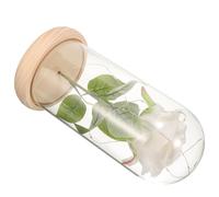 Lurrose Caja de Flores Preservadas Rosa Blanca Cúpula de Cristal Adorno para Decoración del Hogar y Obsequio San Valentín Flor Eterna sin LED ni Batería Base Color Claro