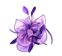 Lurrose Diadema de organza para el pelo con plumas, accesorio para el cabello, tocado para niñas y mujeres, 1 unidad (Paquete de 1), color púrpura, para ocasiones especiales y uso diario