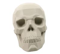 Lurrose Escultura de Calavera para Práctica de Dibujo para Estudiantes de Arte para Decoración de Escritorio y Preparación de Exámenes