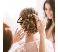 Lurrose Horquilla en Forma de U para Mujer Estilo Retro de Acrílico, Accesorio Decorativo Cabello Adecuado para Compromiso y Cumpleaños