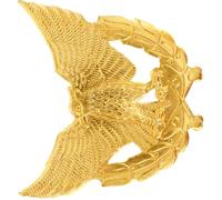 Lurrose Pin de Águila Dorado de Aleación de Zinc para Uniforme de Seguridad, Accesorio Decorativo Que Simboliza Autoridad en Vestimenta de Seguridad