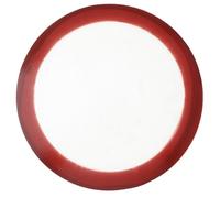 Lurrose Tapete de Silicona Redondo para Hornear Pizza 254 Mm, Antiadherente, Resistente al Calor, Esterilla Reutilizable para Horno, Accesorios de Cocina para Panadería Color Aleatorio