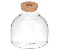 Lurrose Terrario de Vidrio para Plantas Hidropónicas, Pequeño Pecera Decorativa con Corcho Perforado, Contenedor de Musgo y Micropaisaje Adecuado para Jardinería Interior y Oficina