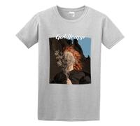 LUSHAOJIANG Goldfrapp Silver Eye Mens Gray T-Shirt M