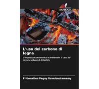 L'uso del carbone di legna: L'impatto socioeconomico e ambientale. Il caso del comune urbano di Antsohihy