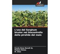 L'uso del Sorghum bicolor nel biocontrollo della piralide del mais