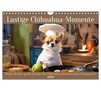 Lustige Chihuahua-Momente (Wandkalender 2026 DIN A4 quer), CALVENDO Monatskalender: Kleine Helden, große Freude. Der Chihuahua-Kalender zum Schmunzeln