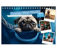 Lustige Mops-Hunde: Die charmanten Meister von Chaos und Unfug (Tischkalender 2026 DIN A5 quer), CALVENDO Monatskalender: Möpse: Weil jeder Tag ein bisschen Quatsch braucht