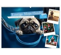 Lustige Mops-Hunde: Die charmanten Meister von Chaos und Unfug (Wandkalender 2026 DIN A2 quer), CALVENDO Monatskalender: Möpse: Weil jeder Tag ein bisschen Quatsch braucht