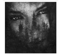 Lustre - The Ashes of Light [Vinilo]