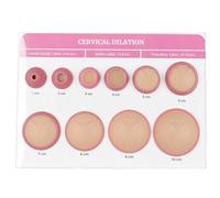 LUUPPN Modelo de enseñanza ginecológica, simulador de dilatación Cervical con 1-10 cm, maniquí simulador de dilatación for formación de parteras y Doulas, educación médica, Aprendizaje del Parto.