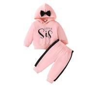 LUVCES Ropa Niña Pequeñas Sudadera de Manga Larga Capucha Floral Tops + Pantalones Conjuntos Otoño De Diadema Para Niñas 2Pcs Little Sis rosa 9-12 Meses
