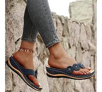 LUWAY Sandalias Mujeres Moda Bordado Verano Plano Talla Grande Zapatos Clip Toe Casuales De Playa Sandalias Romanas Chanclas De Damas,Azul,US7.5/EU39