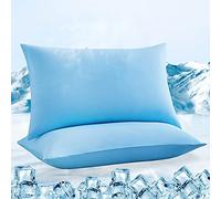 Luxear Fundas de Almohada Refrescantes ARC-Chill, Set de 2, Fibra de Enfriamiento Q-MAX >0.5, Transpirable, Hipoalergénica, Funda de Cojín con Cremallera Oculta, 40 x 80 cm