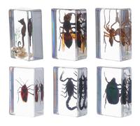 Luxshiny 6 Piezas de Insectos en Resina para Colección y Educación Científica Diseño Artístico, Ideales para Decoración de Oficina y Aula de Biología