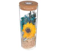 Luxshiny Botella de Flores Preservadas Románticas Luz Led, Decoración Luminosa para Fiesta de Cumpleaños, Material Plástico y Estilo Moderno para Obsequio Especial