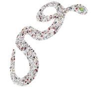 Luxshiny Parche Diseño de Bordado Forma Serpiente Termoadhesivo para y Multiuso y Resistente para Reparar y Reforzar Elegante Ropa Bolsas Adecuado Prendas