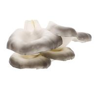 Luxshiny Simulación De Hongo Ostra Decoración De Jardín Modelo De Hongo para Exteriores Manualidades De Jardín De Eva