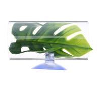 Luxshiny Túnel de Descanso para Peces Betta y Camarones, Tubo Acrílico Transparente para Acuario, Escondite y Lecho de Desove, Decoración Funcional para Peceras de Agua Dulce, Compatible