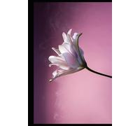 “Luxury 2026 Planner II”: “Elegant design for intentional living vol II”