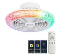 Luyaim Pequeño Ventiladores Para El Techo Con Lámpara - Altavoz Bluetooth Alexa, 6 Velocidades LED RGB, Plafon Led Ventilador Para Habitaciones Infantiles/Juveniles-White-A