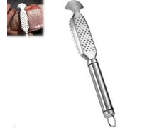 LUYJWZN 2-In-1 Stainless Steel Fish Scaler + Ginger Grater, 9 Inch Multifunctional Fish Scaler Remover, Multifunctional Fishs Scale Scraping Tool for Home Market Restaurant (1pcs)