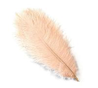 LUYSGBXR 10 piezas/lote de plumas naturales colores for manualidades, decoración bodas, fiestas, centros mesa reales(Champagne,35-40cm)