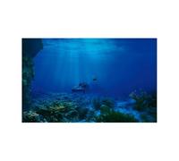 LUYSGBXR Fondo Acuario Póster Autoadhesivo de Fondo for Acuario con Fondo Marino Azul Profundo, Papel Tapiz for pecera(50x80cm)